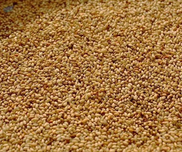 Sesame Seed (100% Pure)