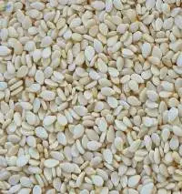 Sesame Seed (White Colour)