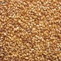 Sesame Seed (Golden/ Light Brown Colour)