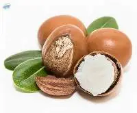 Shea Nuts/Shea Butter