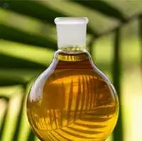 Refined Palm Kernel Oil