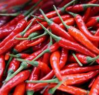 Chilli Pepper