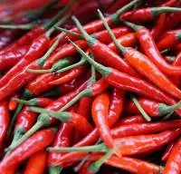 Chilli Pepper