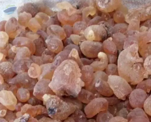 Gum Arabic (Grade 3)
