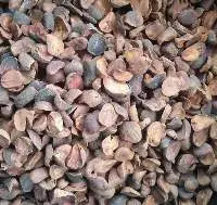 Kola Nut (Dried)