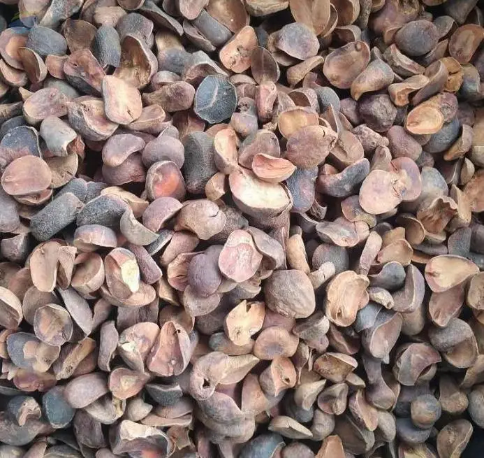 Kola Nut (Dried)