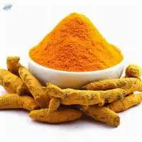 Turmeric Powder