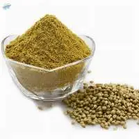 Coriander Powder