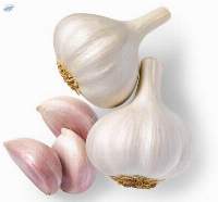 Garlic Bulbs