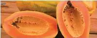 Papaya