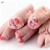 Frozen Pork Hind/front Feet