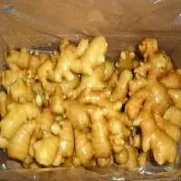 250g Fresh Ginger Hot Sale