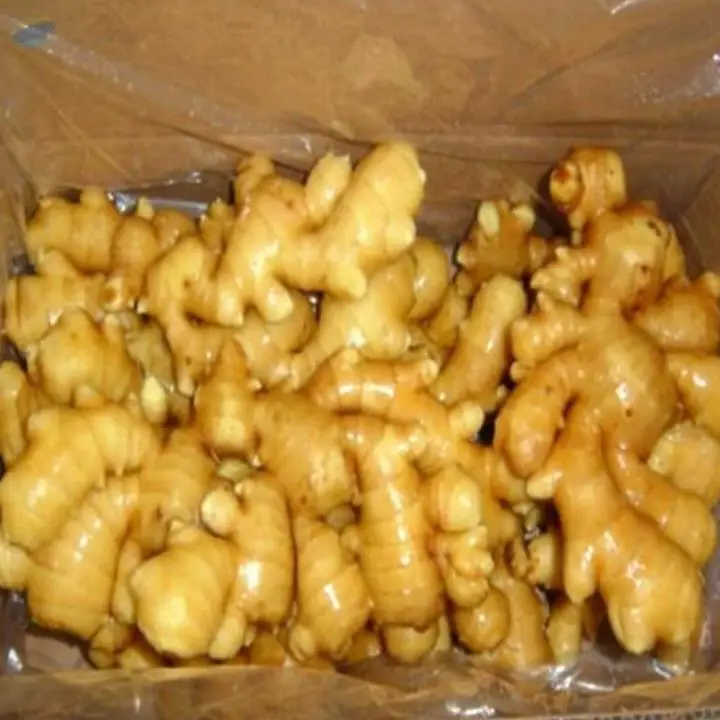 250g Fresh Ginger Hot Sale