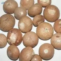 Whole Betel Nut Competitive Price