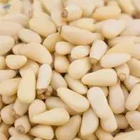 Wholesale Pine Nuts