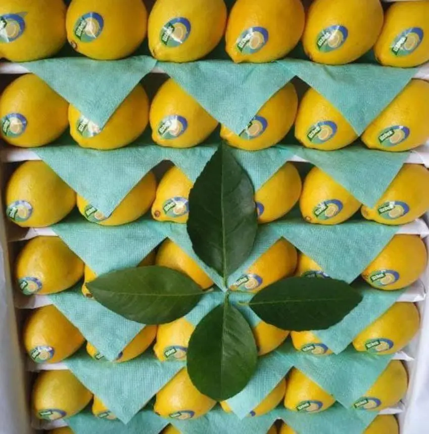 Lemon