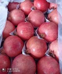 Pomegranate Fruit