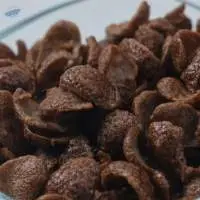 Chocolate Crisp Mini