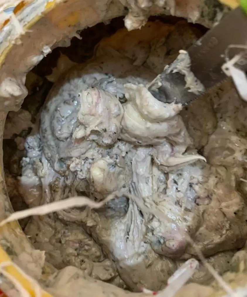 Asafoetida( Hing)