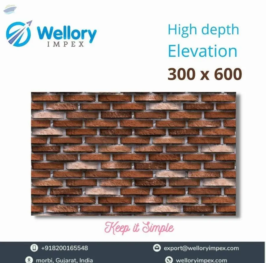 Ceramic Tile 300 x 600 High Depth Elevation