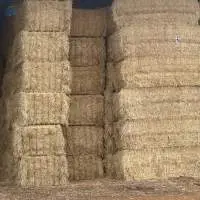 Coco Fiber