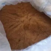 Palm Sugar