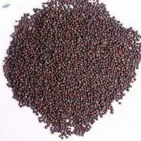 Mustard Seeds