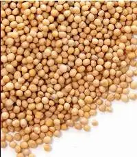 Yellow Mustard Seeds