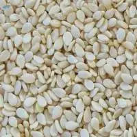 Sesame Seeds