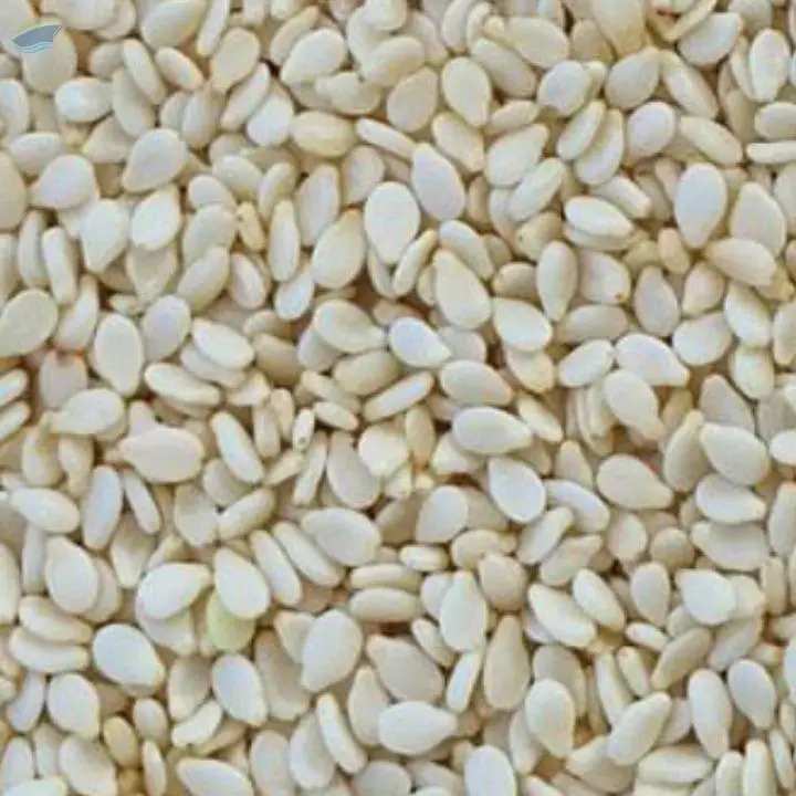 Sesame Seeds