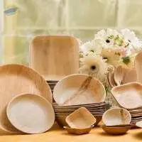 Areca Palm Leaf Plates