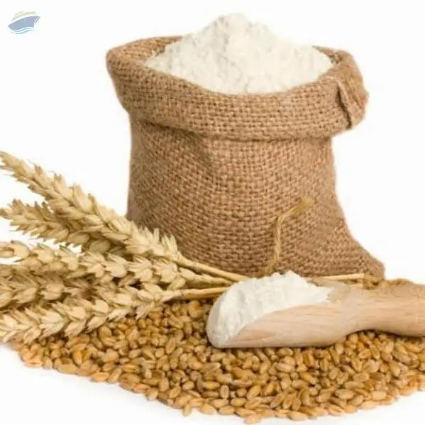 Maida Flour