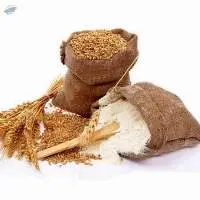 Wheat Flour