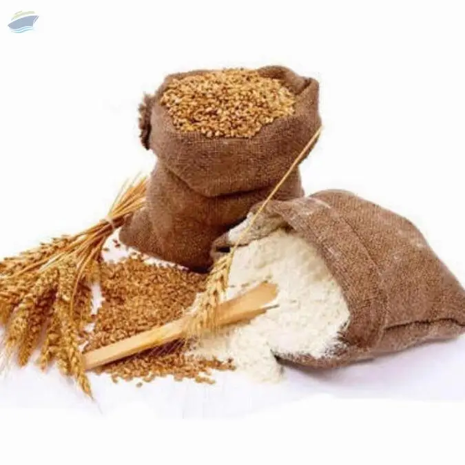 Wheat Flour