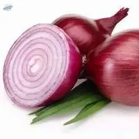 Onion