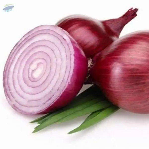 Onion