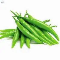 Green Chilli (G4 )