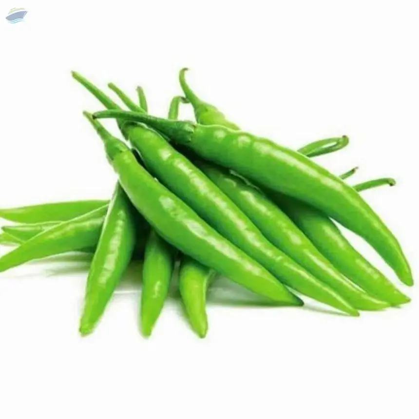 Green Chilli (G4 )