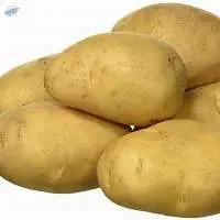Potato