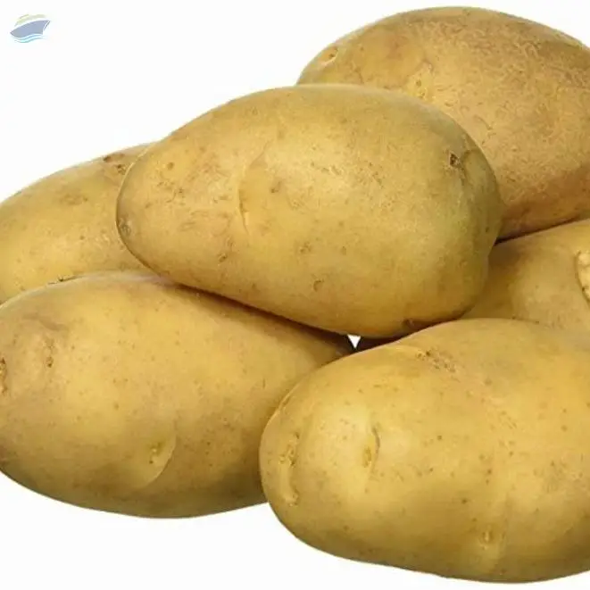 Potato