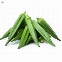 Okra ( Lady Finger)