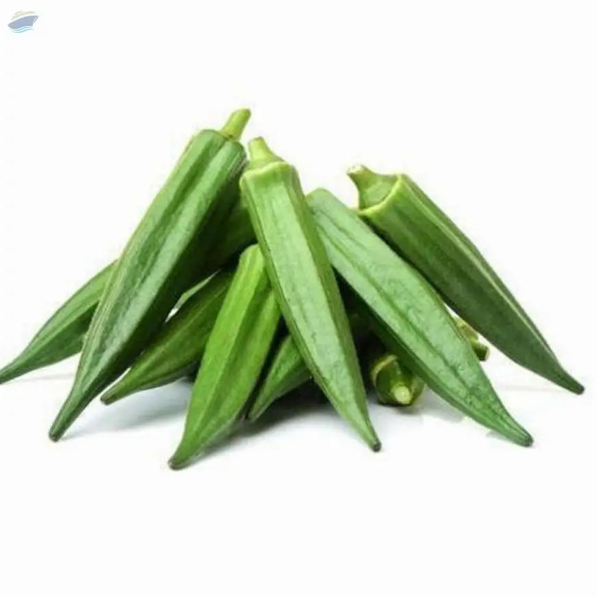Okra ( Lady Finger)