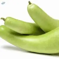 Bottle Gourd