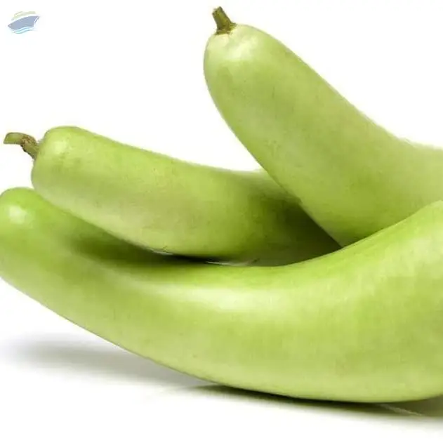 Bottle Gourd