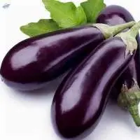 Eggplant ( Aubergines, Brinjal )