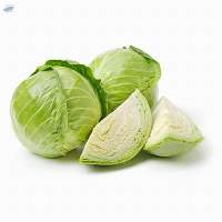Cabbage