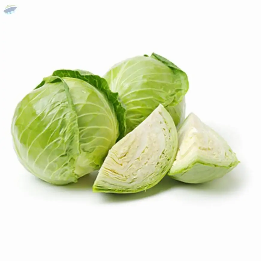 Cabbage