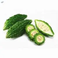 Bitter Gourd
