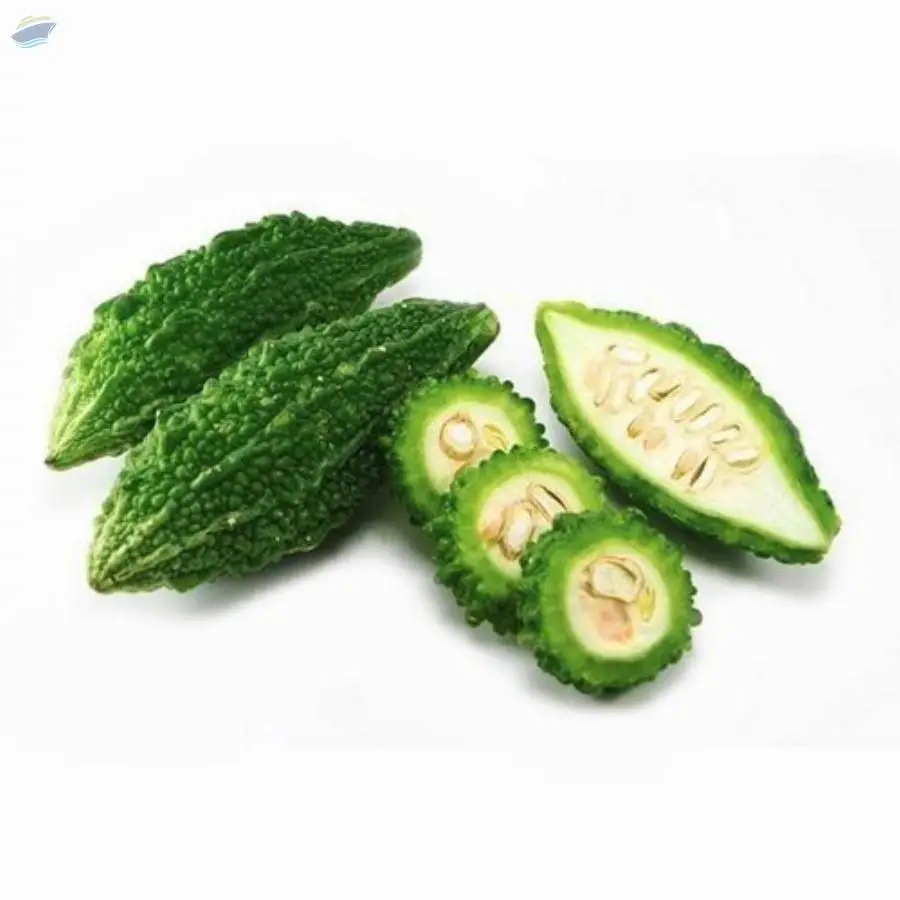 Bitter Gourd