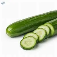 Cucumber